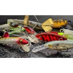 Fishing Tackle and Bait