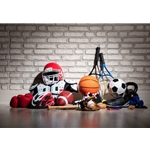Sports Equipment