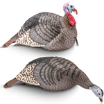 Hunters Specialties 100005 Strut-Lite Jake/Hen Decoy Combo Pack