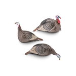 Hunters Specialties 100006 Strut-Lite Flock Pack (Jake/Hen/Feeding Hen)