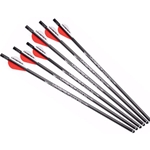 Umarex 2252663 Air Javelin Arrow Pack, 6 Arrows