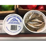 Outdoor Bound CANDLELAKESHINERS "Candle Lake Shiners" Regular Frozen Minnows
