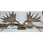 UP35012 Pre-Owned Stoeger P350, 12ga, 3-1/2", 28" With IC Choke