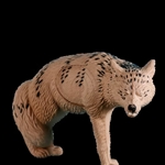 Rinehart Target R43511 Rinehart Coyote Target