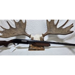 UREM87012 Pre-Owned Remington 870 Magnum 12ga 3" 30" bbl vent rib, fixed full choke. Lead only. Condition - Excellent to Like New.