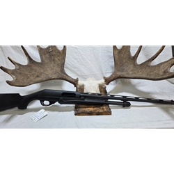 UYOUTH20GA Pre-Owned Benelli Nova Youth 20ga 3" 24" with all chokes. Condition - Excellent