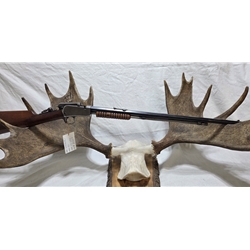 U22WRF Pre-Owned Winchester Model 90 Pump 22 WRF 1925 24" Octagon bbl, Tang peep sight. Condition - Good to Very Good