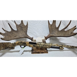 UP35012GA Pre-Owned Stoeger P350 12ga 3-1/2", 28" Ducks Unlimited. Comes with Modified choke. Condition - Very Good