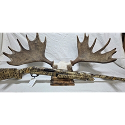 UP35012 Pre-Owned Stoeger P350, 12ga, 3-1/2", 28" With IC Choke
