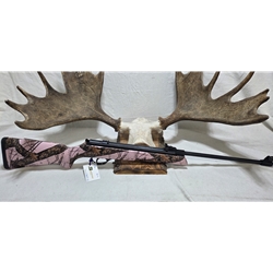 Hatsan Airguns UHATSANMDL33 Pre-Owned Hatsan Model  33 .177 pellet, break action, 495 fps, open sights, pink mossy oak blaze camo. Condition - Very Good to Good