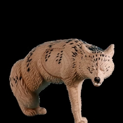 Rinehart Target R43511 Rinehart Coyote Target