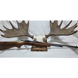 MDL60USED Pre-Owned Cooey Model 60, 22 S, L, LR. Condition - Good to Very Good