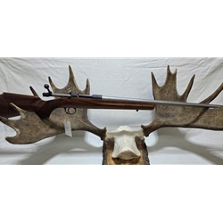 UCOOPER204 Pre-Owned Cooper, Model 21 Jackson Game, 204 ruger, SS/wood, 24" 3 lug bolt, single shot. Condition - Excellent