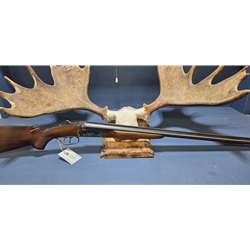 Aguirre Y Aranzabal UMATADOR Pre-Owned A Y A Matador SxS 10 ga color case hardened receiver, full on full chokes. Condition - Excellent